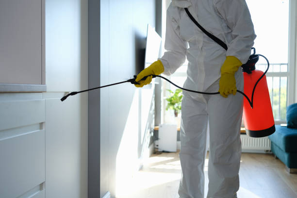 Best Professional Mold Removal  in Deerfield, WI