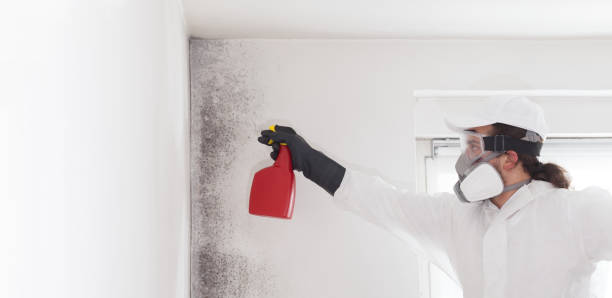 Best Residential Mold Removal  in Deerfield, WI